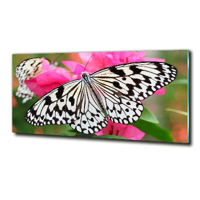 Glass art print Flower butterfly