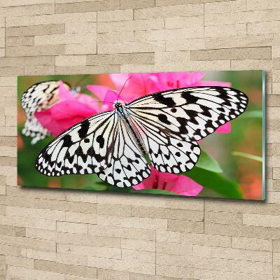 Glass art print Flower butterfly