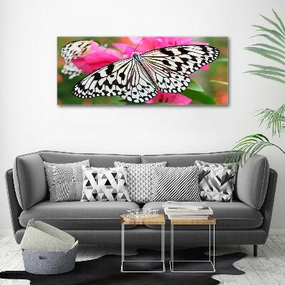 Glass art print Flower butterfly