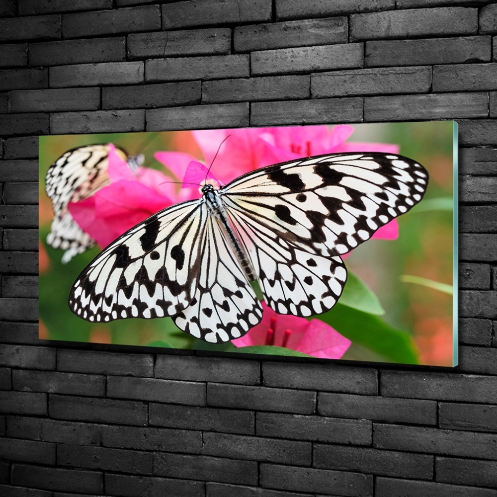 Glass art print Flower butterfly