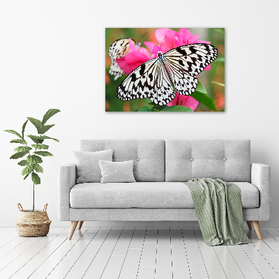 Glass art print Flower butterfly