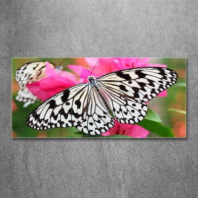 Glass art print Flower butterfly