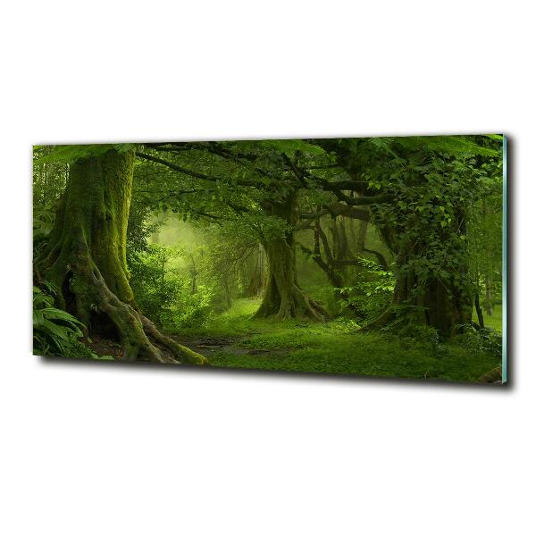 Glass picture wall art Tropical jungle