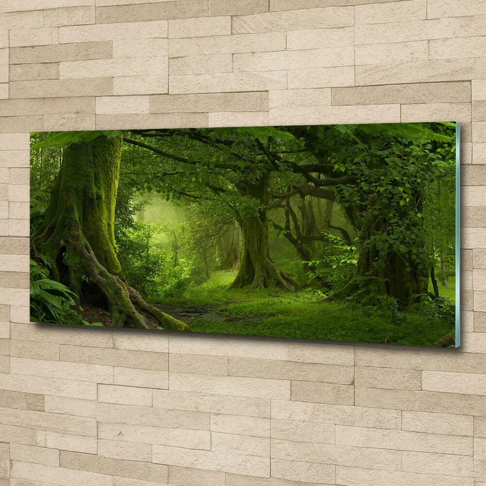 Glass picture wall art Tropical jungle