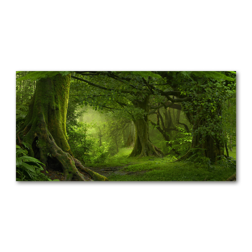 Glass picture wall art Tropical jungle