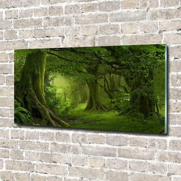 Glass picture wall art Tropical jungle