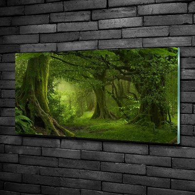 Glass picture wall art Tropical jungle