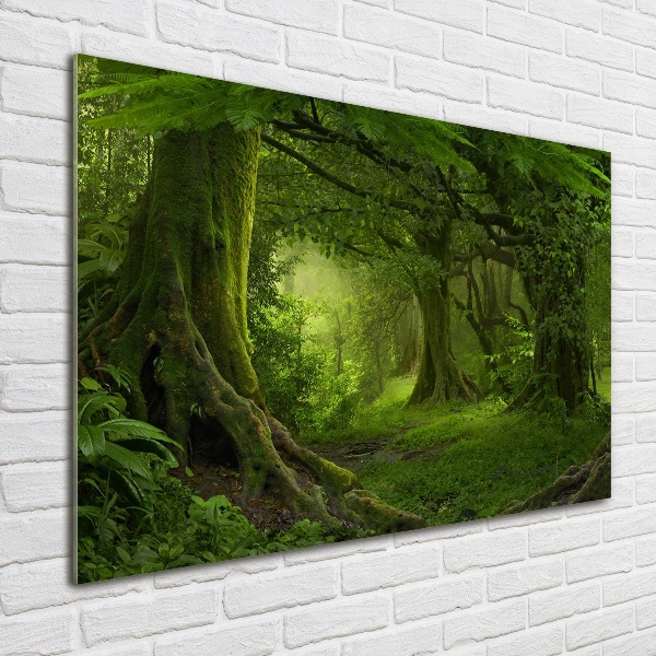 Glass picture wall art Tropical jungle