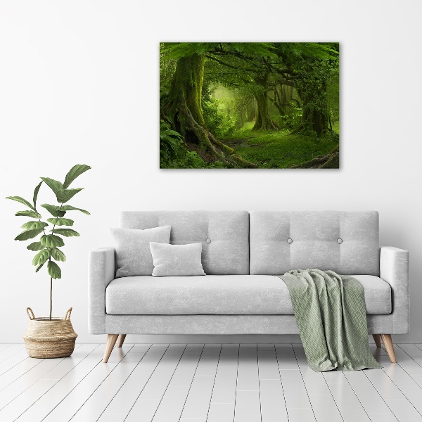 Glass picture wall art Tropical jungle