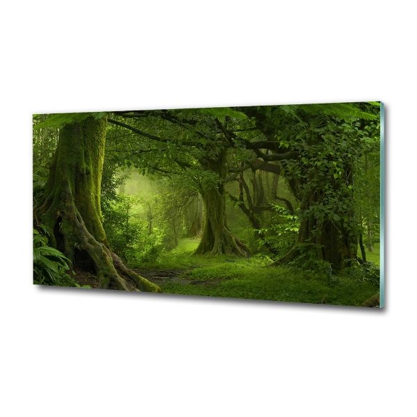 Glass picture wall art Tropical jungle