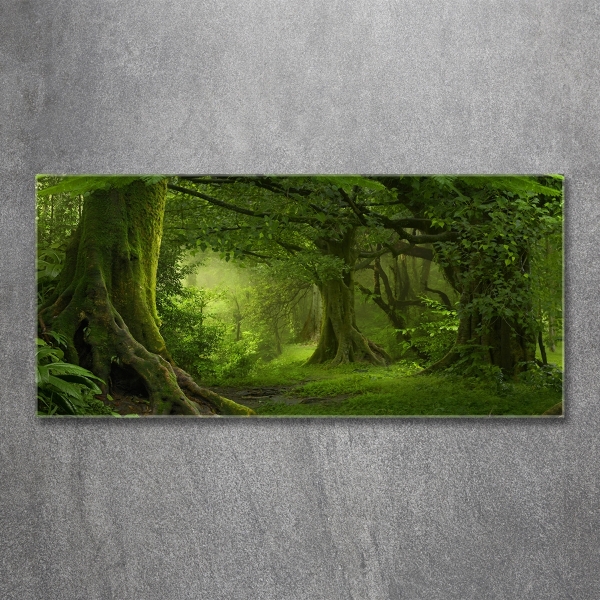 Glass picture wall art Tropical jungle