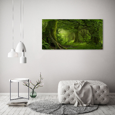 Glass picture wall art Tropical jungle