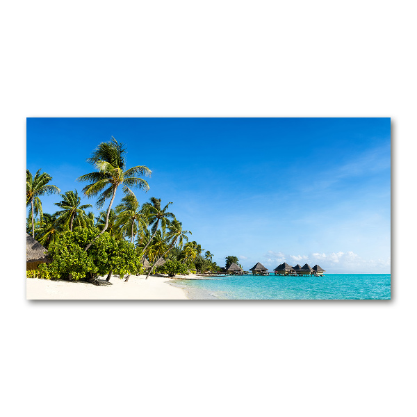 Printed glass wall art Beach in the caribbean