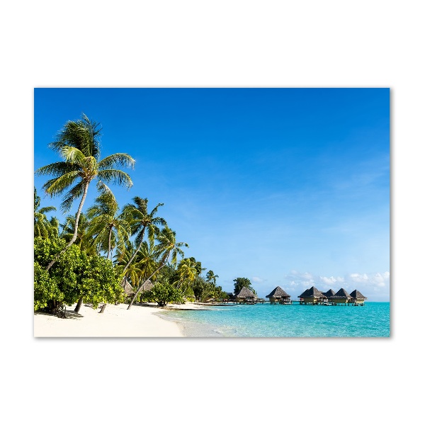 Printed glass wall art Beach in the caribbean