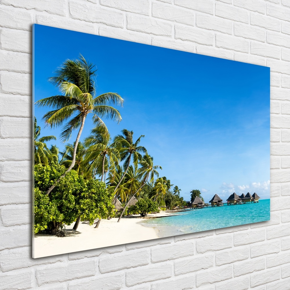 Printed glass wall art Beach in the caribbean