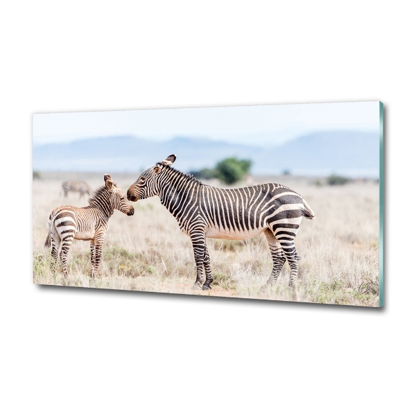 Wall art on glass Zebra in the mountains