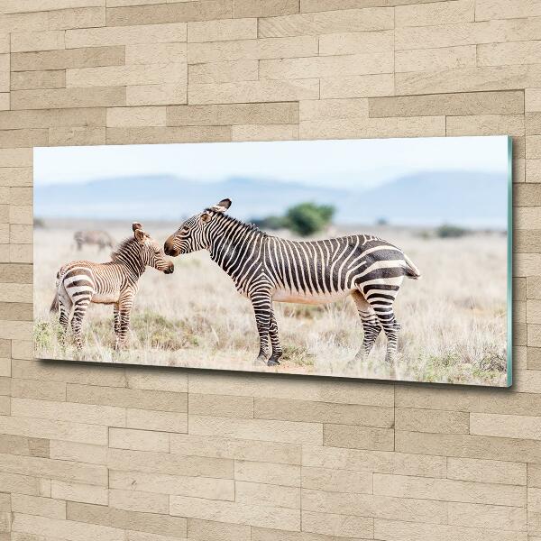 Wall art on glass Zebra in the mountains