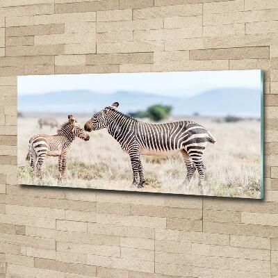 Wall art on glass Zebra in the mountains