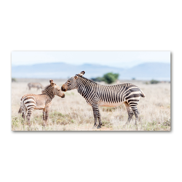 Wall art on glass Zebra in the mountains