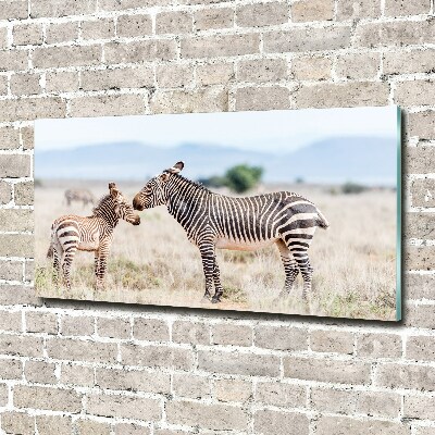 Wall art on glass Zebra in the mountains