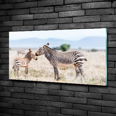 Wall art on glass Zebra in the mountains