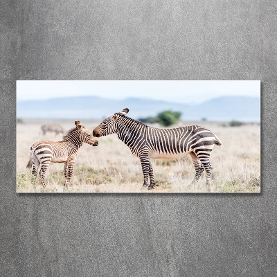 Wall art on glass Zebra in the mountains