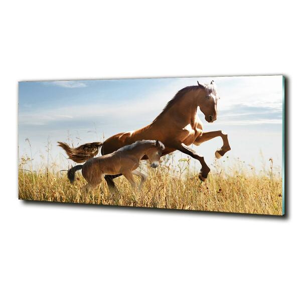 Wall art on glass Mare with foal