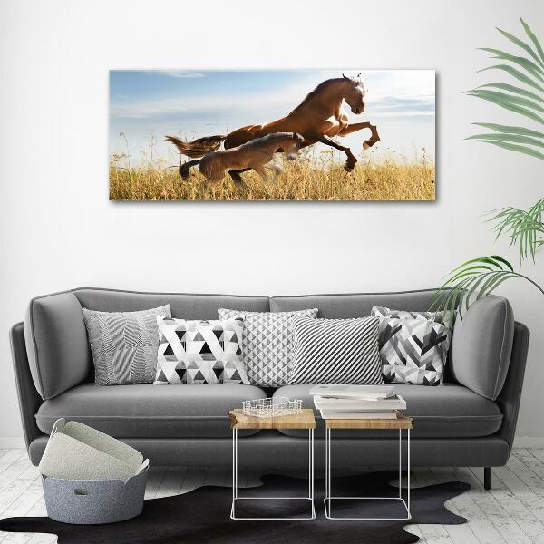 Wall art on glass Mare with foal