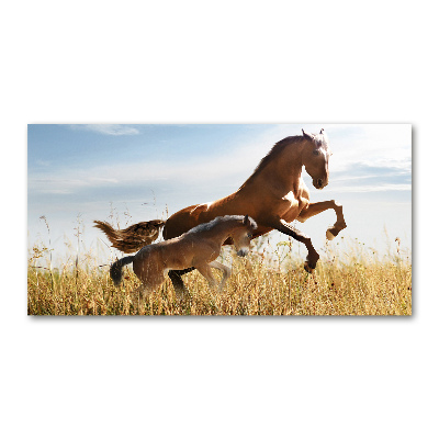 Wall art on glass Mare with foal