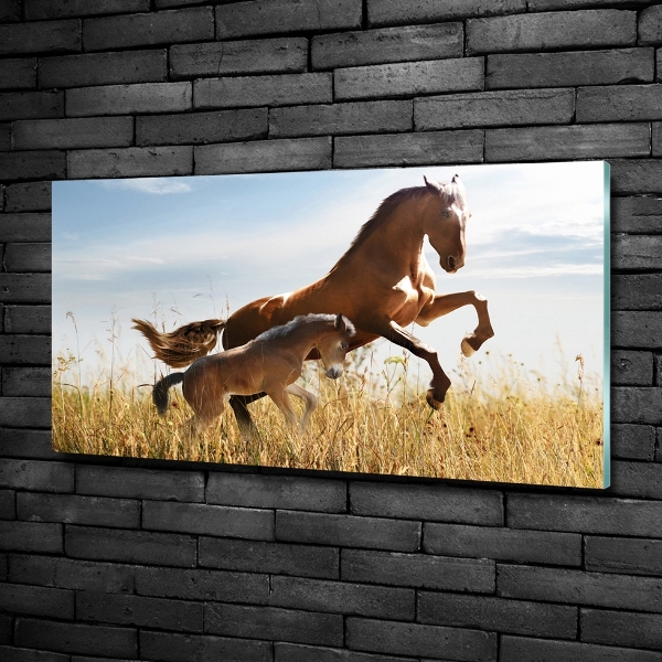 Wall art on glass Mare with foal