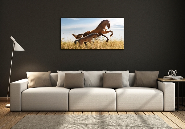 Wall art on glass Mare with foal