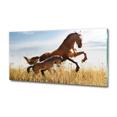 Wall art on glass Mare with foal