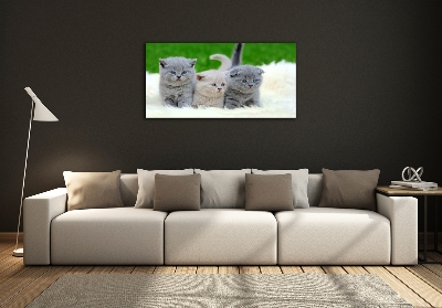 Glass wall art Three cats on the blanket