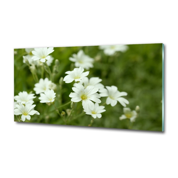 Wall art on glass Spring flowers