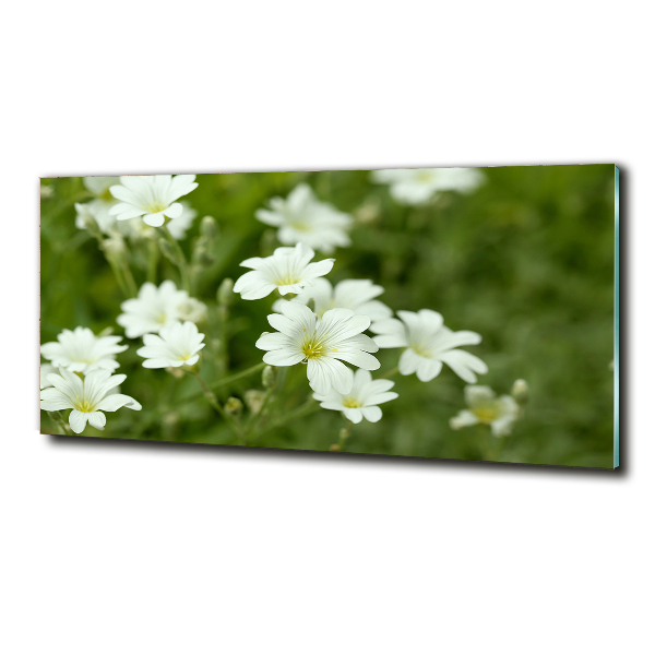 Wall art on glass Spring flowers