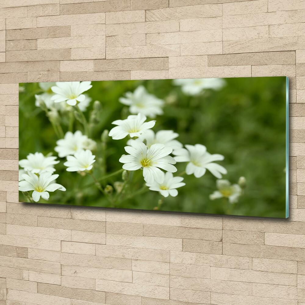 Wall art on glass Spring flowers