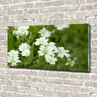 Wall art on glass Spring flowers