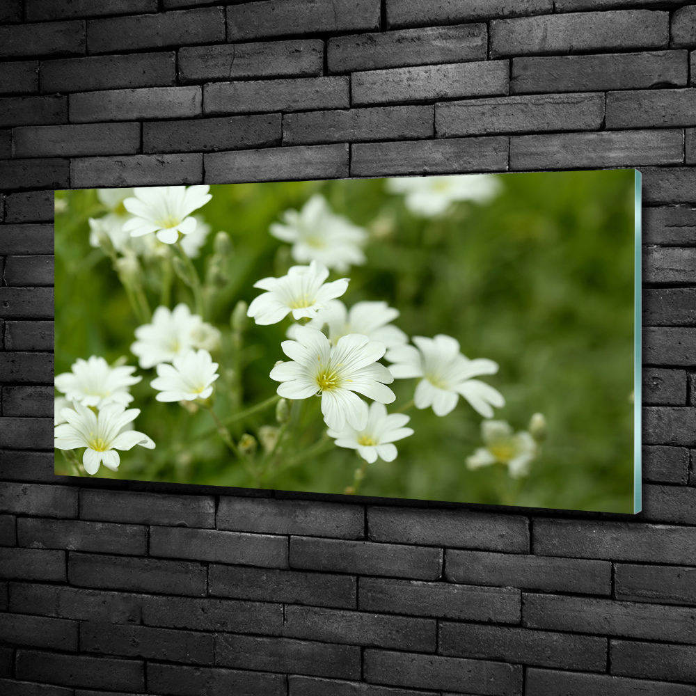 Wall art on glass Spring flowers