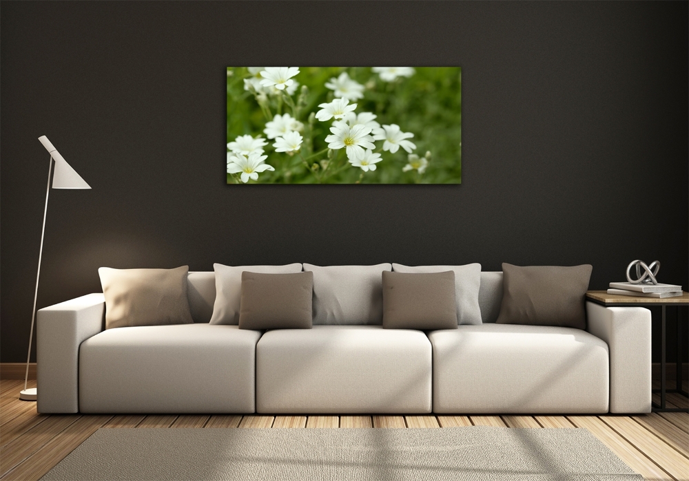 Wall art on glass Spring flowers