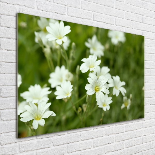 Wall art on glass Spring flowers