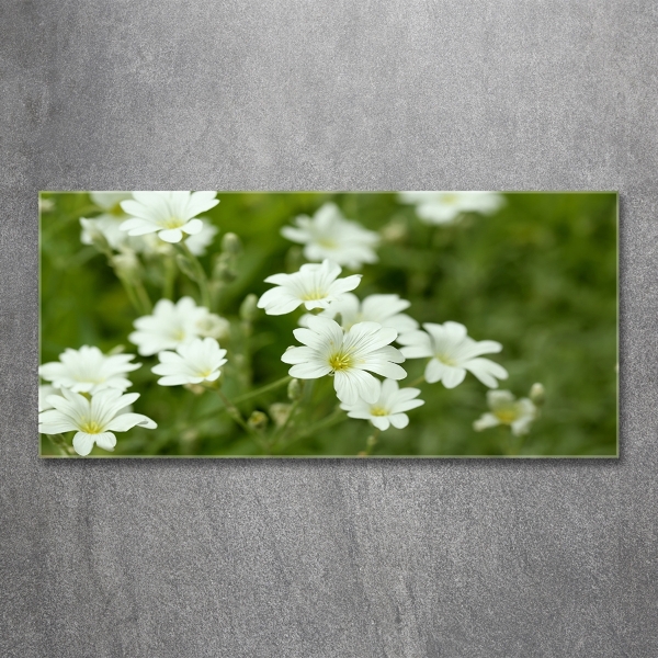 Wall art on glass Spring flowers