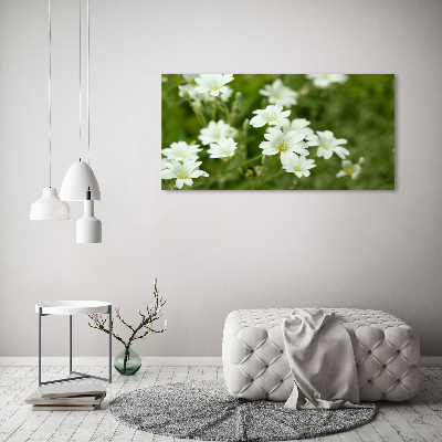 Wall art on glass Spring flowers