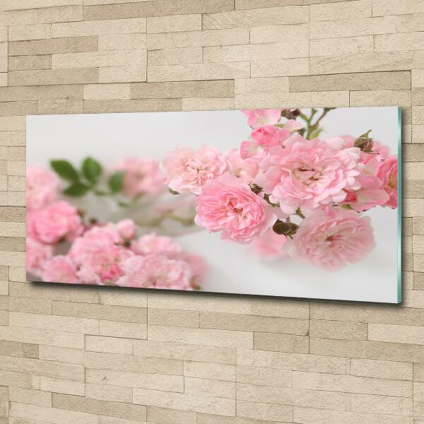 Glass art print Wild roses