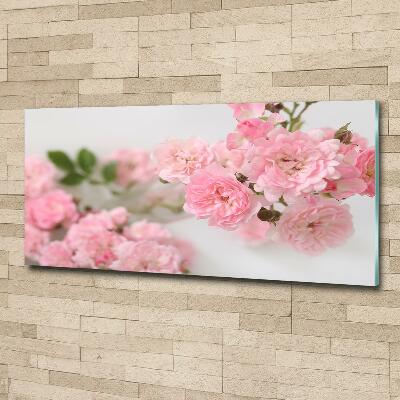 Glass art print Wild roses