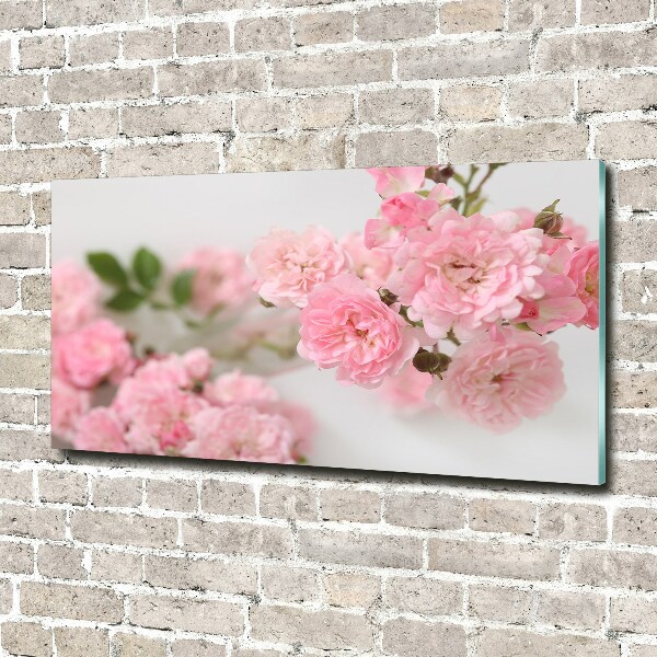 Glass art print Wild roses