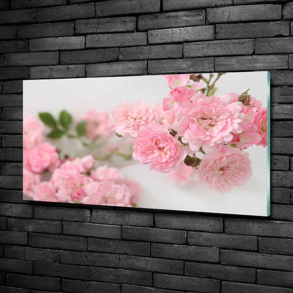 Glass art print Wild roses