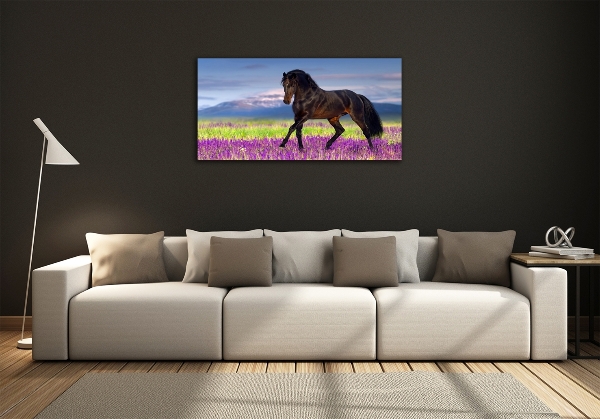 Wall art on glass Horse in the field of lavender