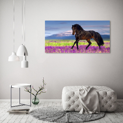 Wall art on glass Horse in the field of lavender