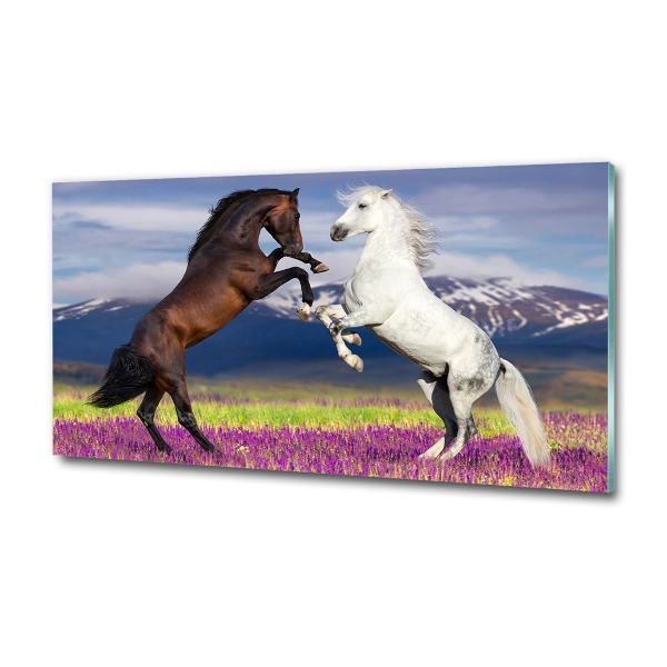 Glass wall art Fighting horses mountains