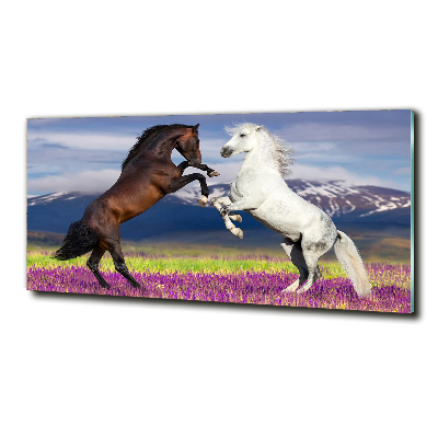 Glass wall art Fighting horses mountains